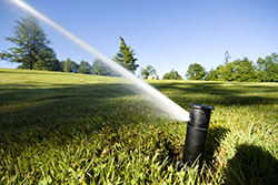 Sprinklers and Irrigation